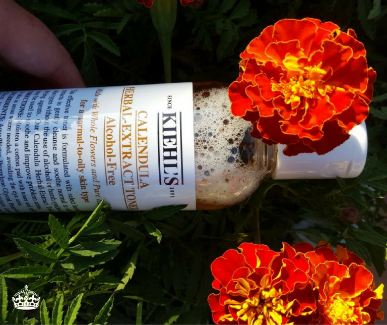 calendula