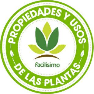 Cómo eliminar las arrugas con aloe vera