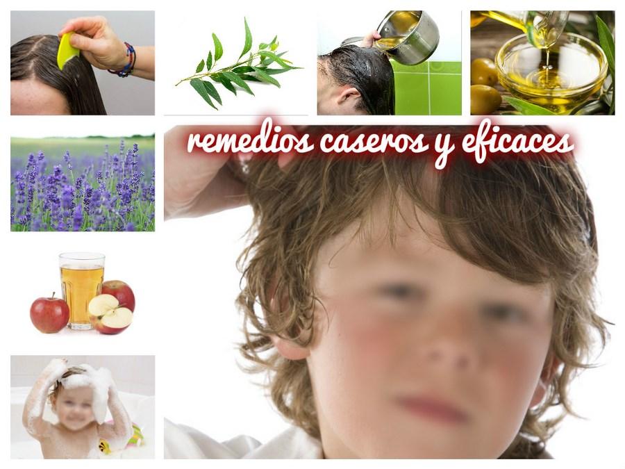 Piojos_Liendres_Collage (Copiar)