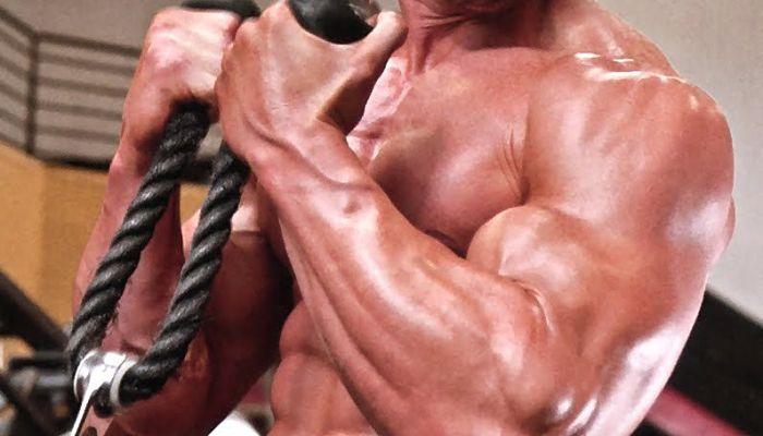 Aumento de los musculos