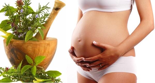plantas medicinales para el embarazo