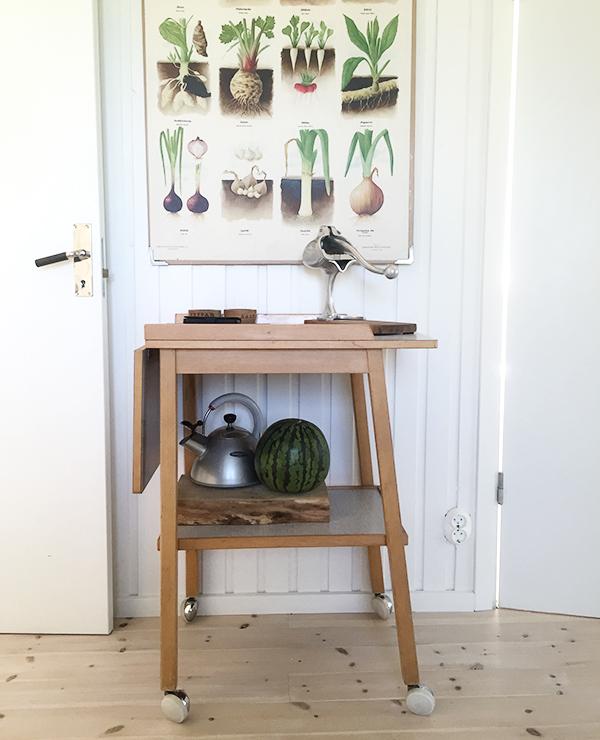 cocinas-nordicas-lamina-plantas