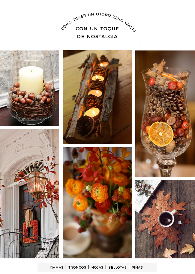Cómo Traer A Tu Hogar Un Buen Otoño Zero Waste