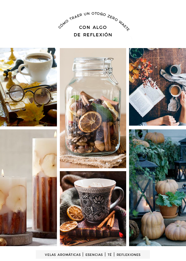 Cómo Traer A Tu Hogar Un Buen Otoño Zero Waste