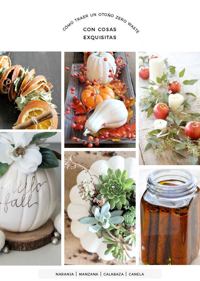 Cómo Traer A Tu Hogar Un Buen Otoño Zero Waste