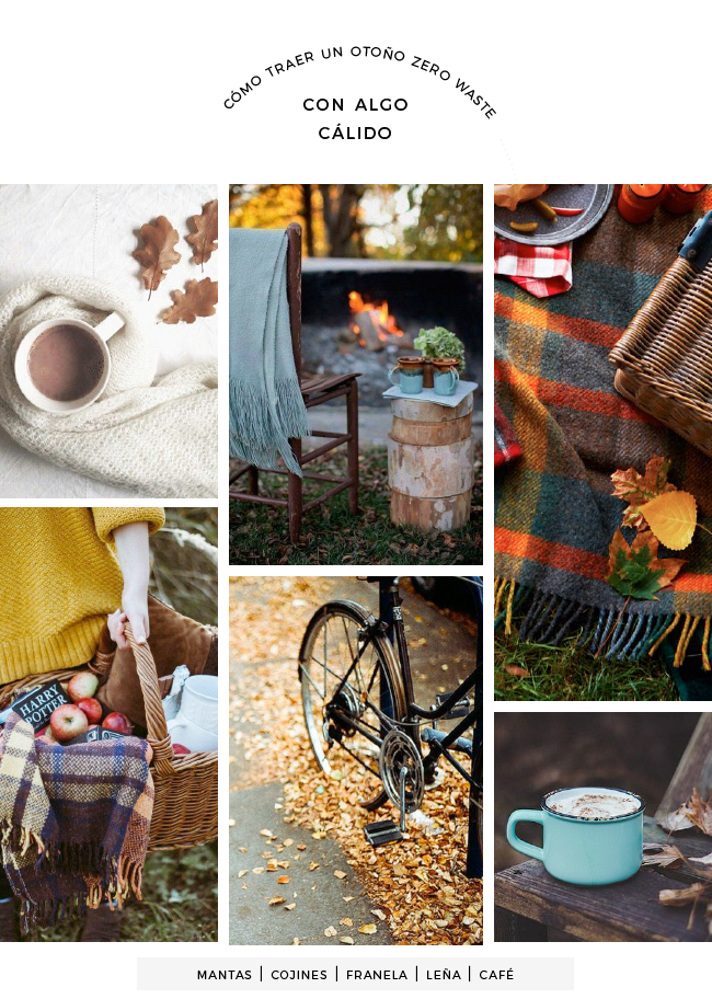 Cómo Traer A Tu Hogar Un Buen Otoño Zero Waste