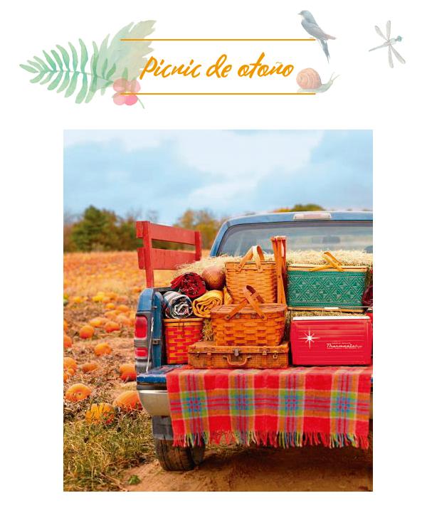 picnic_otono_diariodeco25_blog_ana_pla_interiorismo_decoracion_1