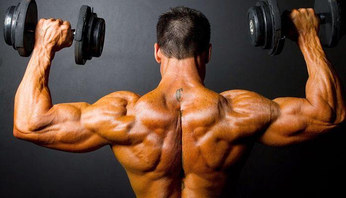 Definición muscular