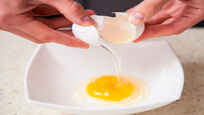 Asimilación de la proteina