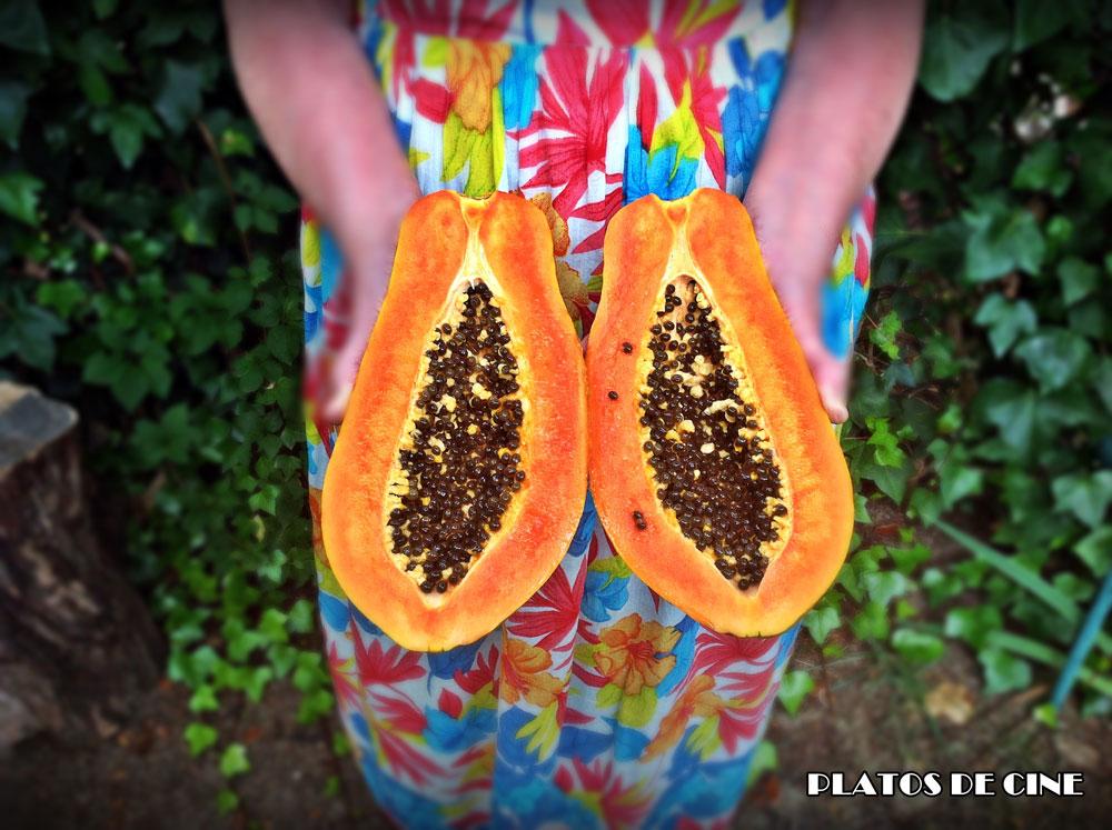 receta-casera-papaya
