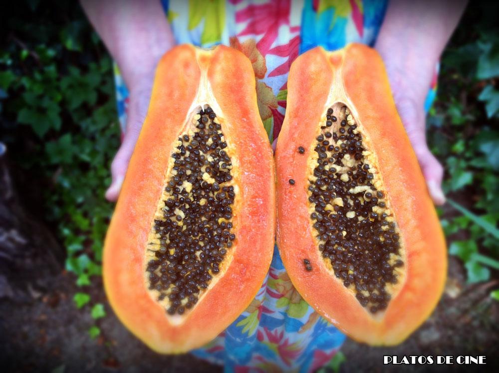 receta-navidad-papaya