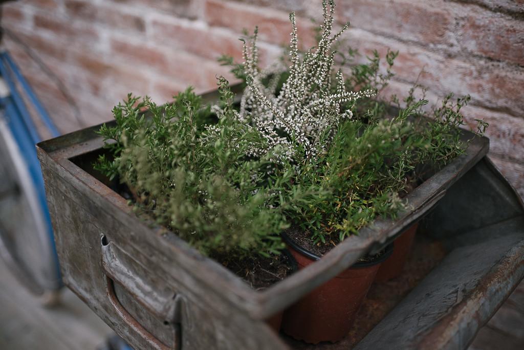 la-novia-perfecta-18