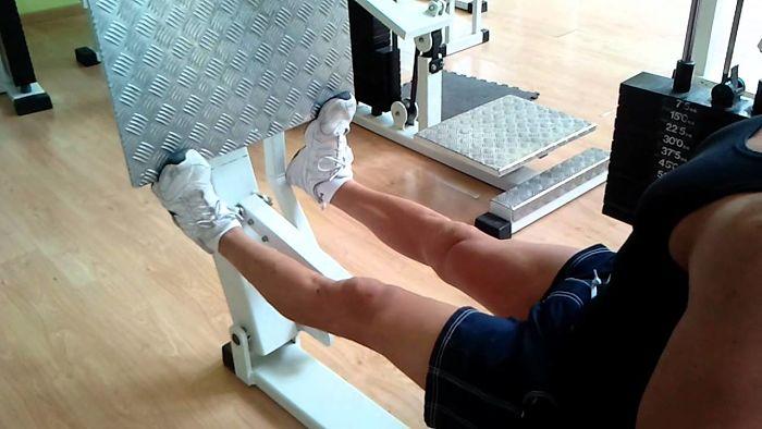 Gemelos desarrollados