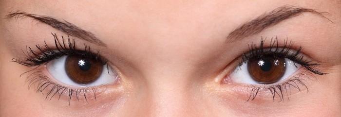 Función estética de las cejas