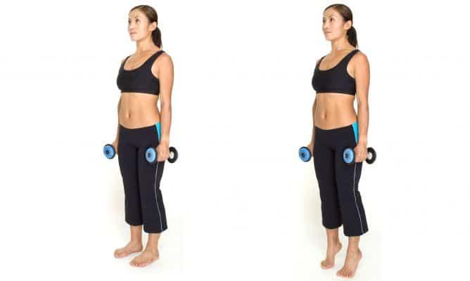 elevacion de talones