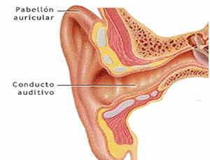 Remedios caseros para el dolor de oídos