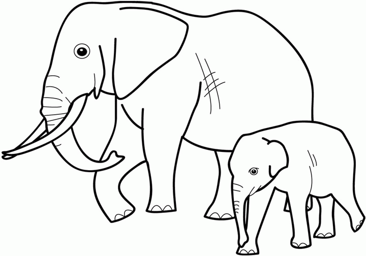 Elefantes Para Dibujar