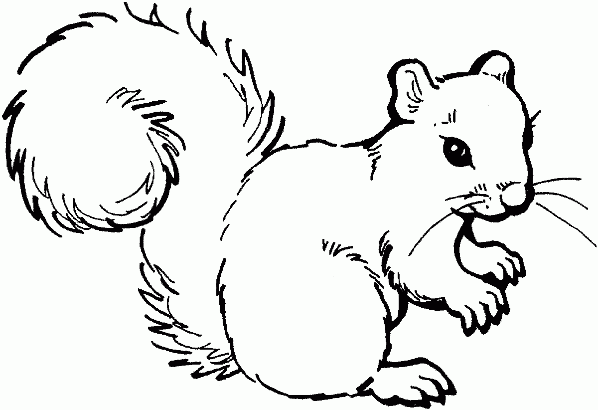Animales Para Imprimir