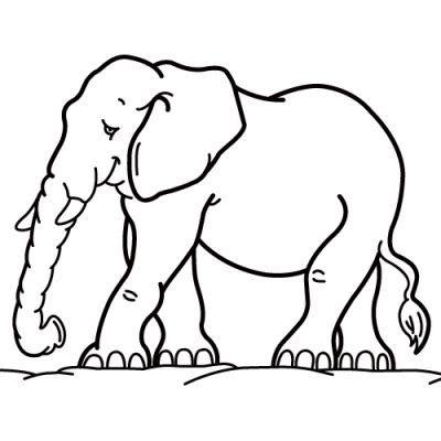 Elefante Facil Para Dibujar