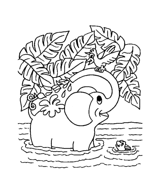 Elefante Para Colorear