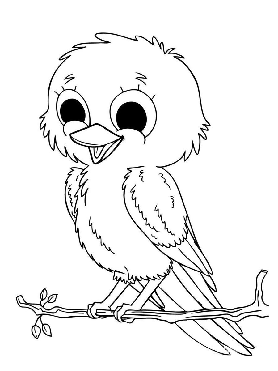 Pajaro Para Pintar
