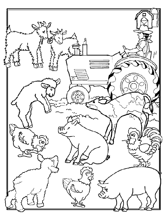 Granja Para Colorear