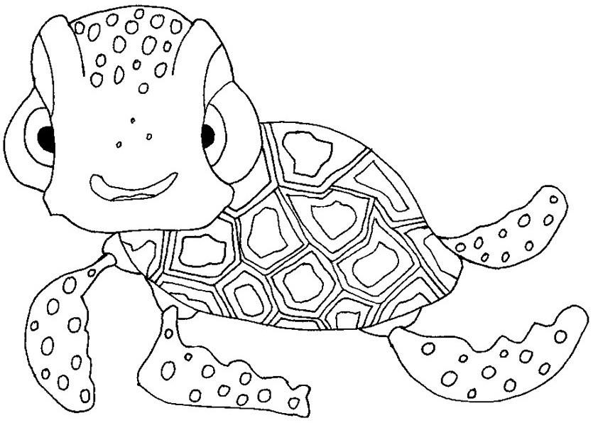 Dibujo De Tortuga