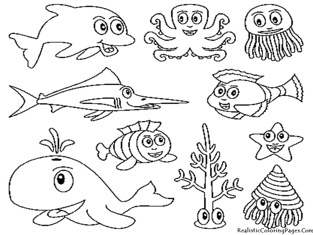 Animales Marinos Para Pintar