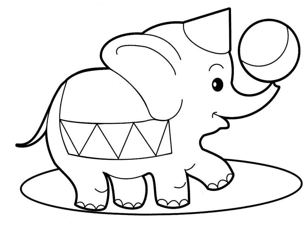 Elefante De Circo Para Pintar