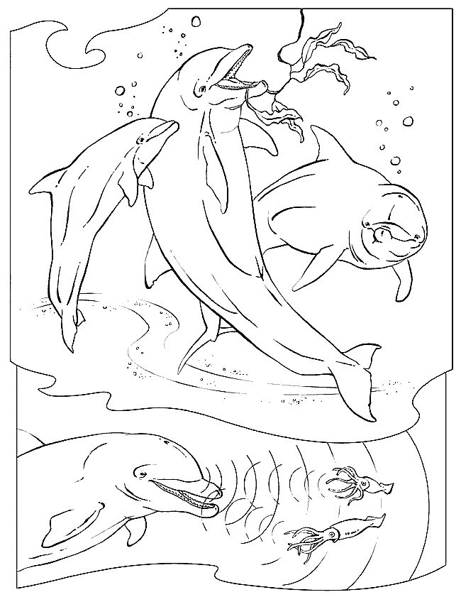 Delfines Para Colorear