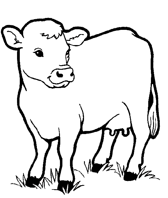 Dibujo De Vaca Para Pintar