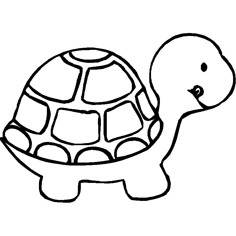 Tortuga Para Pintar
