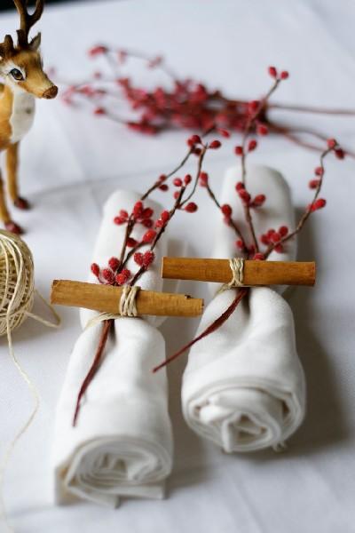 11-christmas-napkins-cinnamon-stick-berry-branch