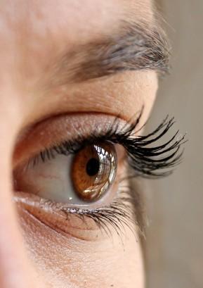 ¿Qué función cumplen las pestañas en el ser humano?