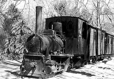 Locomotora en el Alberche
