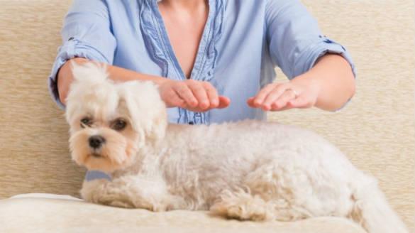 contraindicaciones del reiki