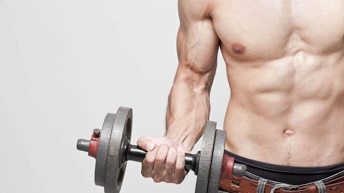 Entrenamiento para los músculos