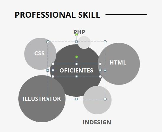 conocimientos curriculum vitae para completar