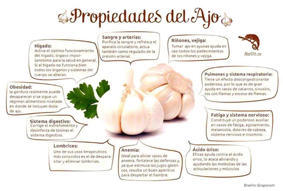 Beneficios del ajo