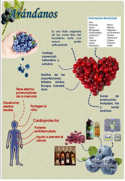 Beneficios de los arándanos