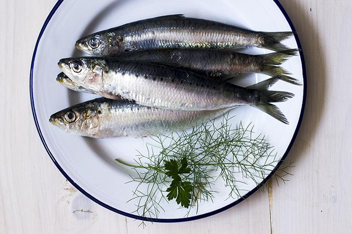 como filetear sardinas