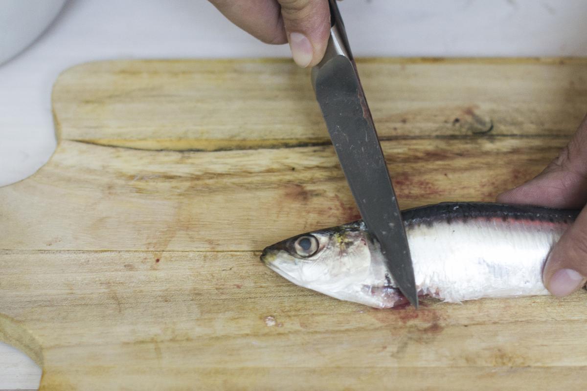 como filetear sardinas