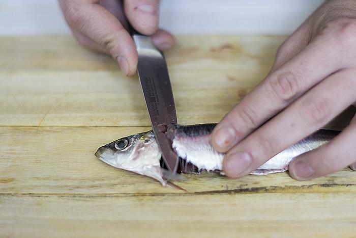 como filetear sardinas