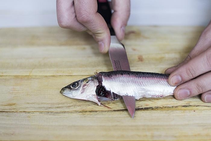como filetear sardinas