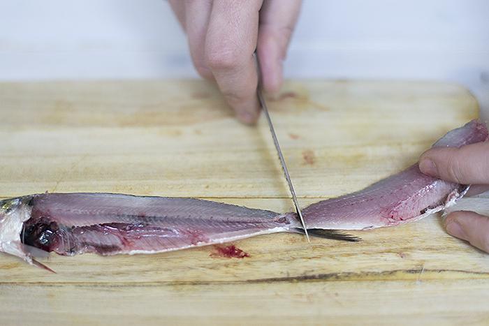 filetear-sardinas-3