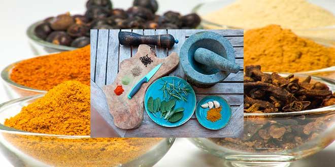 microondas-secar-hierbas-y-tostas-especias