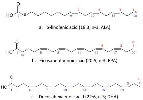 estructura-molecular-epa-dha-ala