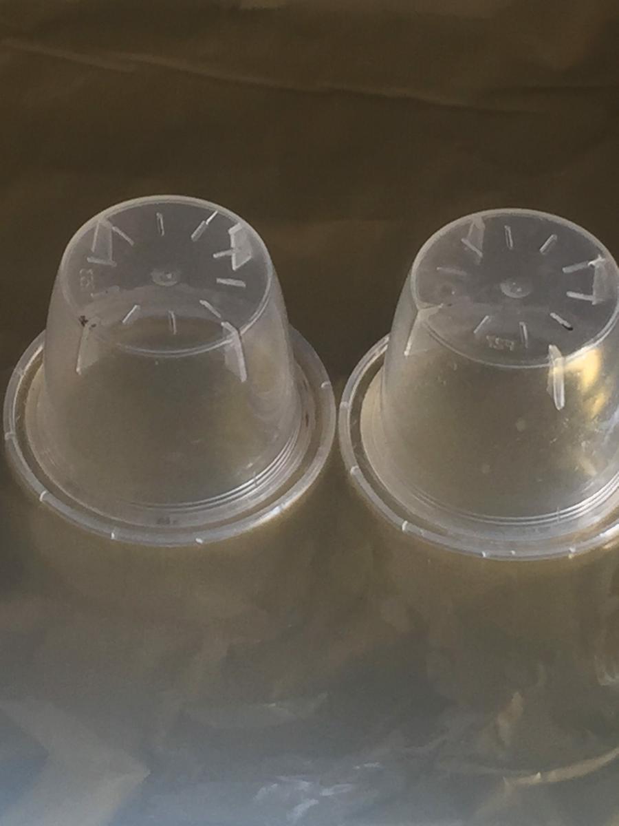 capsulas-cafe-vacias-transparentes