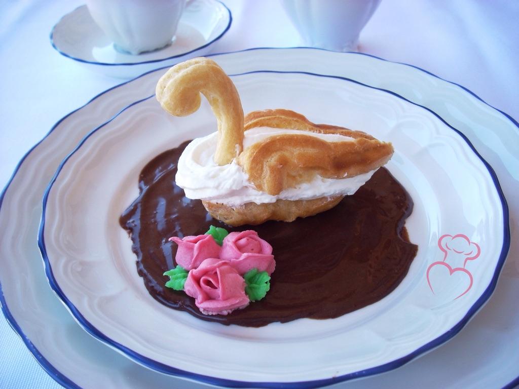 Cisne chocolate choux