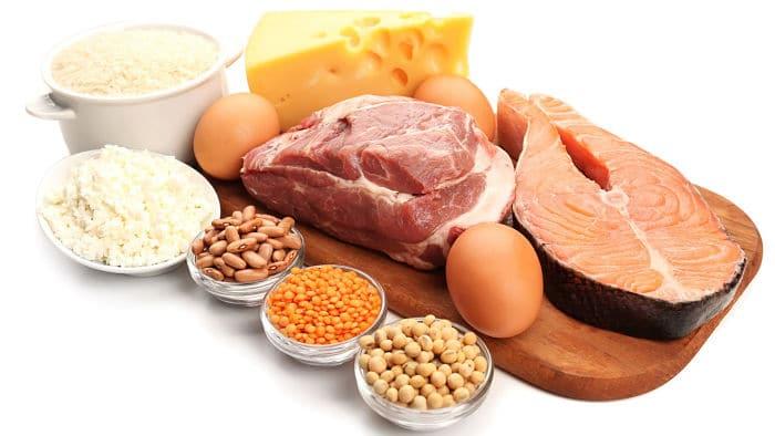 Alimentos proteicos 